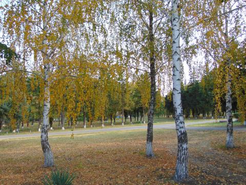 DSC01233