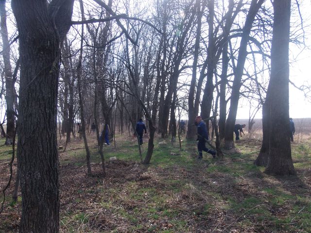 subbotnik3