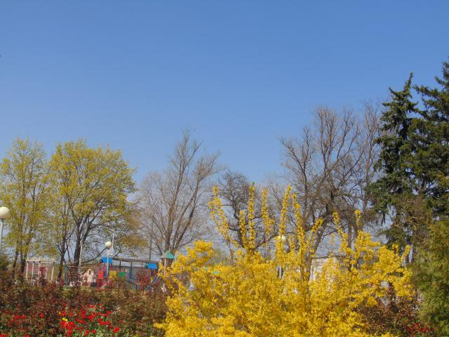 2018 05 08 9