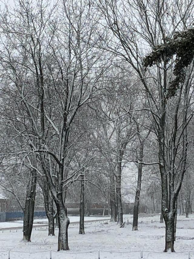 201901163