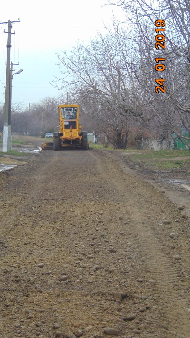 2019012844