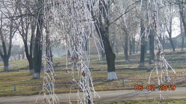 201902075
