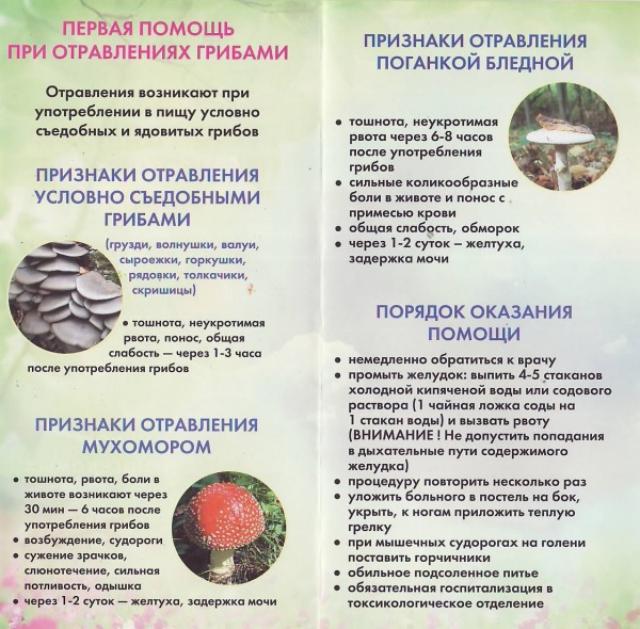 grib2017 3