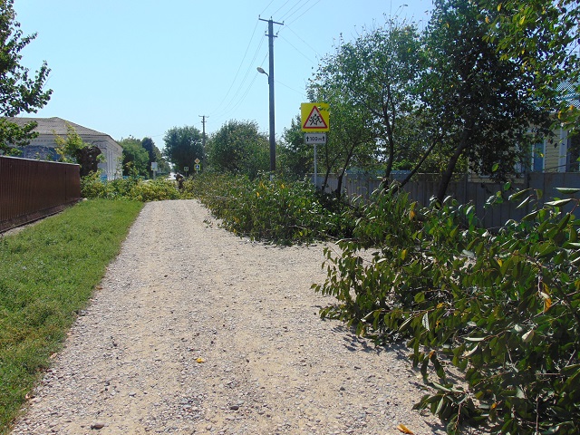 DSC00443